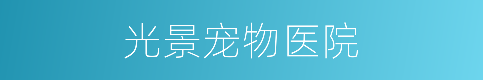 光景宠物医院的同义词