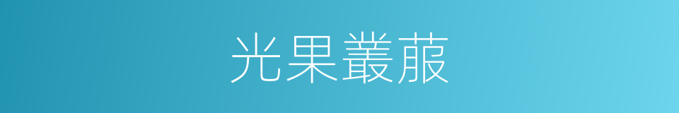 光果叢菔的同義詞