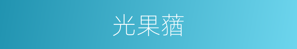 光果蕕的同義詞