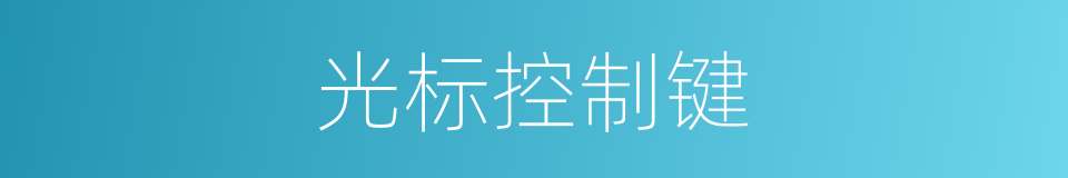 光标控制键的同义词