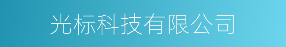 光标科技有限公司的同义词