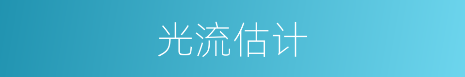 光流估计的同义词