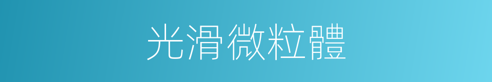 光滑微粒體的同義詞
