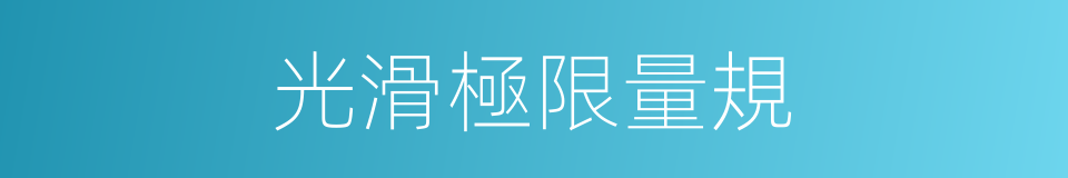 光滑極限量規的同義詞