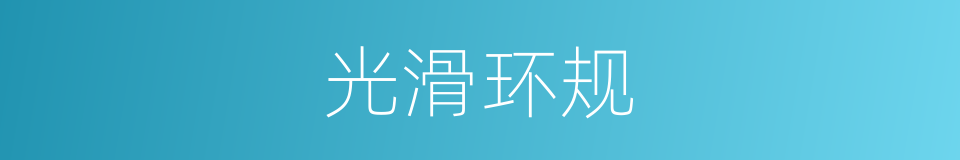 光滑环规的同义词