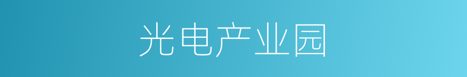 光电产业园的同义词