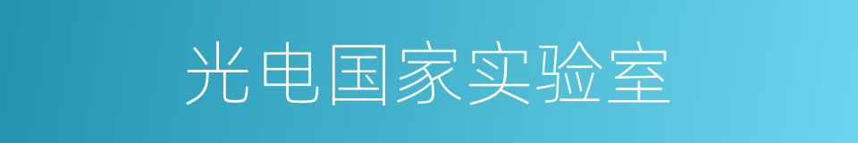 光电国家实验室的同义词