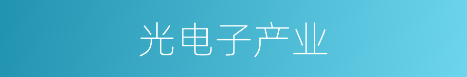 光电子产业的同义词