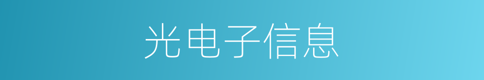 光电子信息的同义词