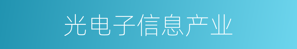 光电子信息产业的同义词