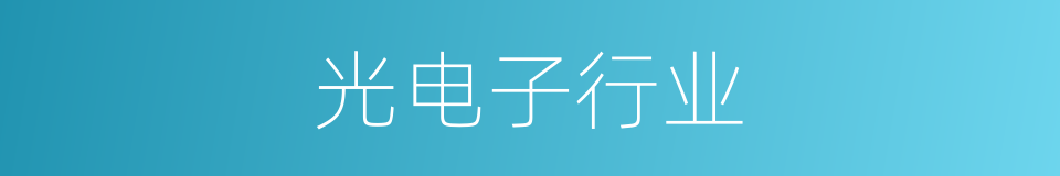 光电子行业的同义词