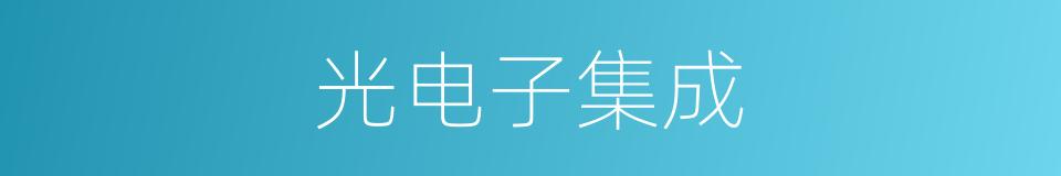 光电子集成的同义词