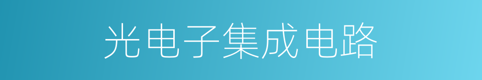 光电子集成电路的同义词