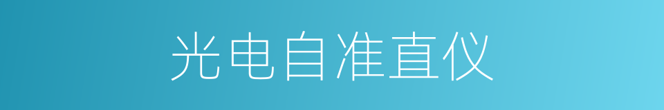 光电自准直仪的同义词