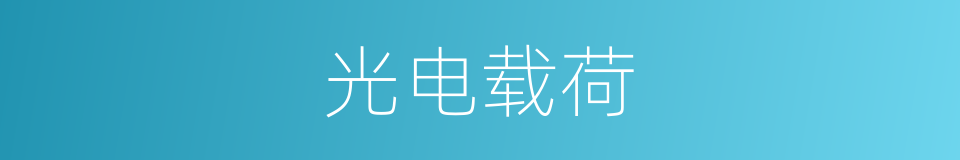 光电载荷的同义词