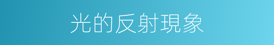 光的反射現象的同義詞
