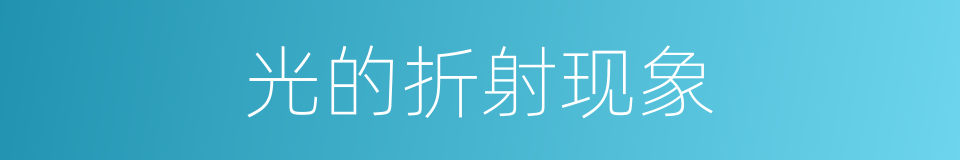 光的折射现象的同义词