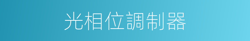 光相位調制器的同義詞