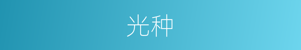 光种的同义词