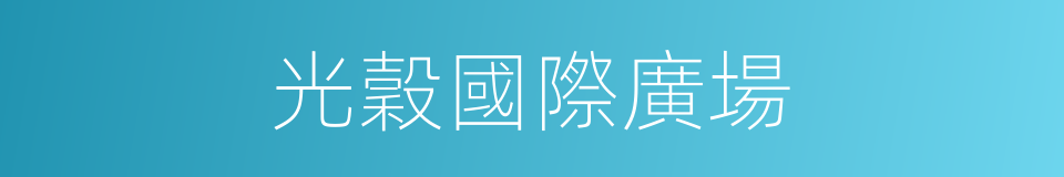 光穀國際廣場的同義詞