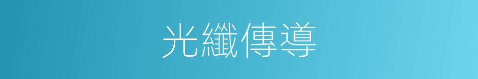 光纖傳導的同義詞