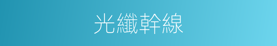 光纖幹線的意思