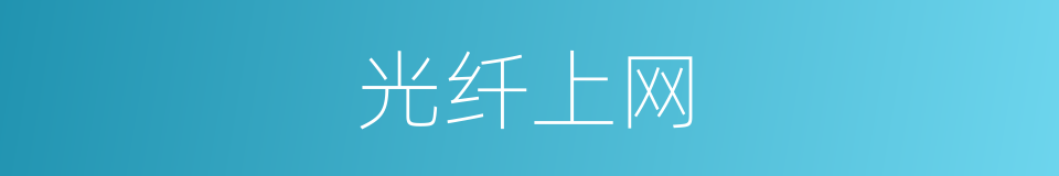 光纤上网的同义词