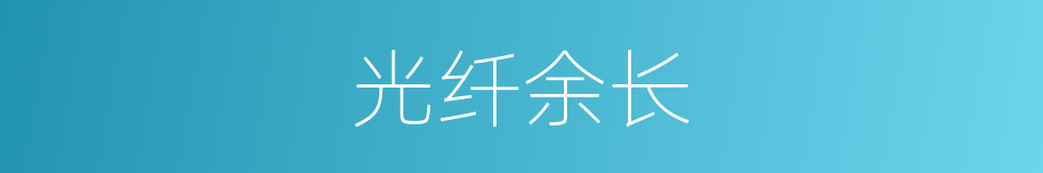 光纤余长的同义词