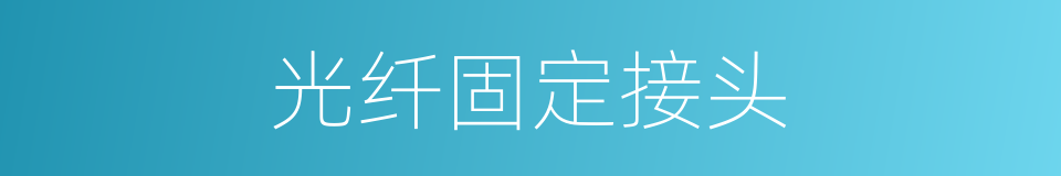 光纤固定接头的同义词