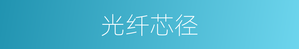 光纤芯径的同义词