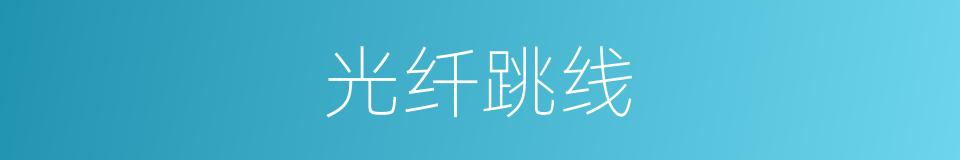 光纤跳线的同义词