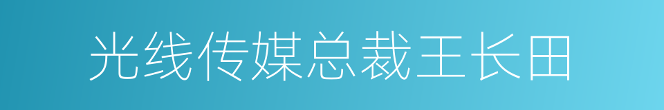 光线传媒总裁王长田的同义词