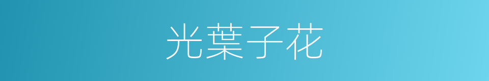 光葉子花的同義詞