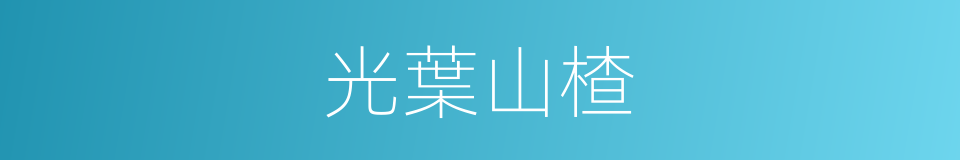 光葉山楂的同義詞