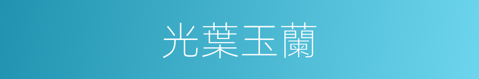 光葉玉蘭的同義詞