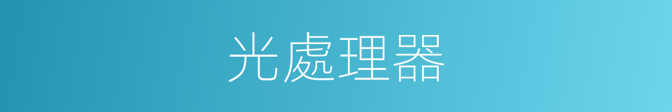 光處理器的同義詞