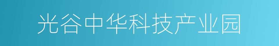 光谷中华科技产业园的同义词