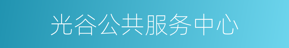 光谷公共服务中心的同义词