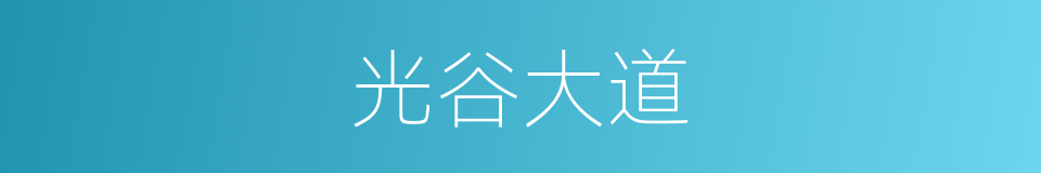 光谷大道的同义词