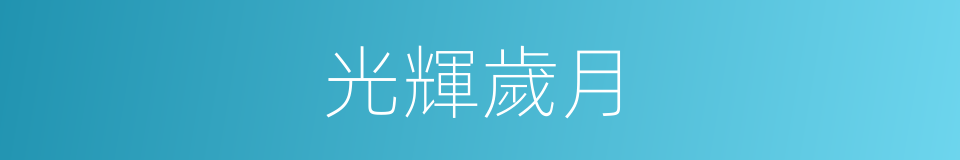 光輝歲月的意思