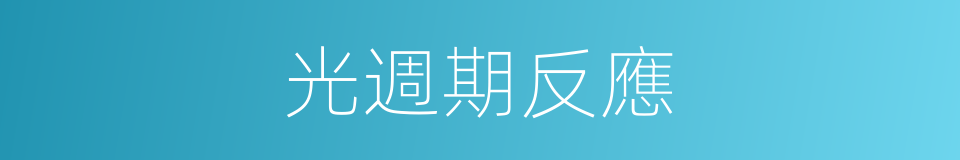 光週期反應的同義詞