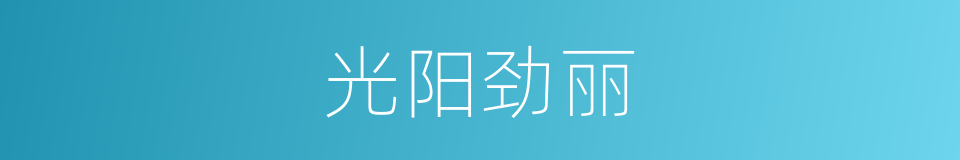 光阳劲丽的同义词