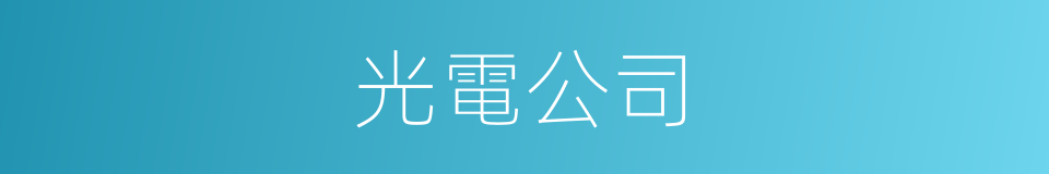 光電公司的同義詞