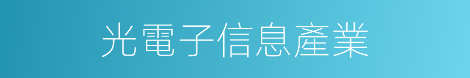 光電子信息產業的同義詞