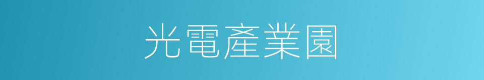 光電產業園的同義詞