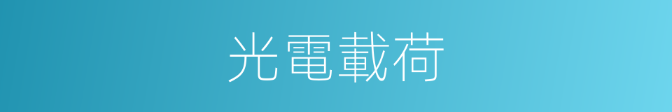 光電載荷的同義詞