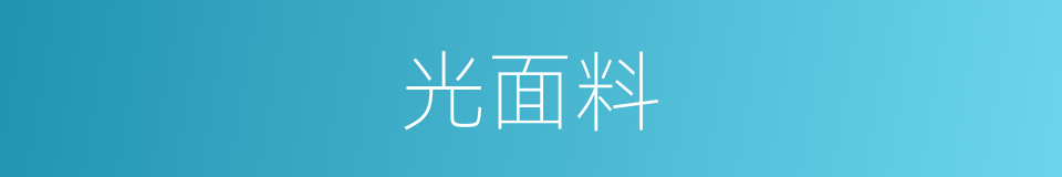 光面料的同义词