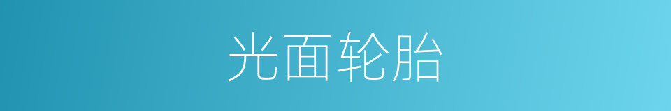 光面轮胎的同义词