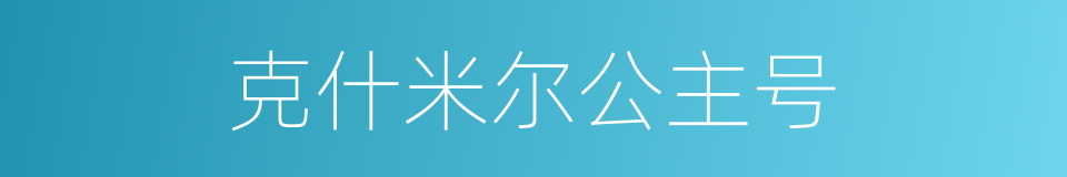 克什米尔公主号的同义词