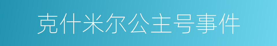 克什米尔公主号事件的同义词